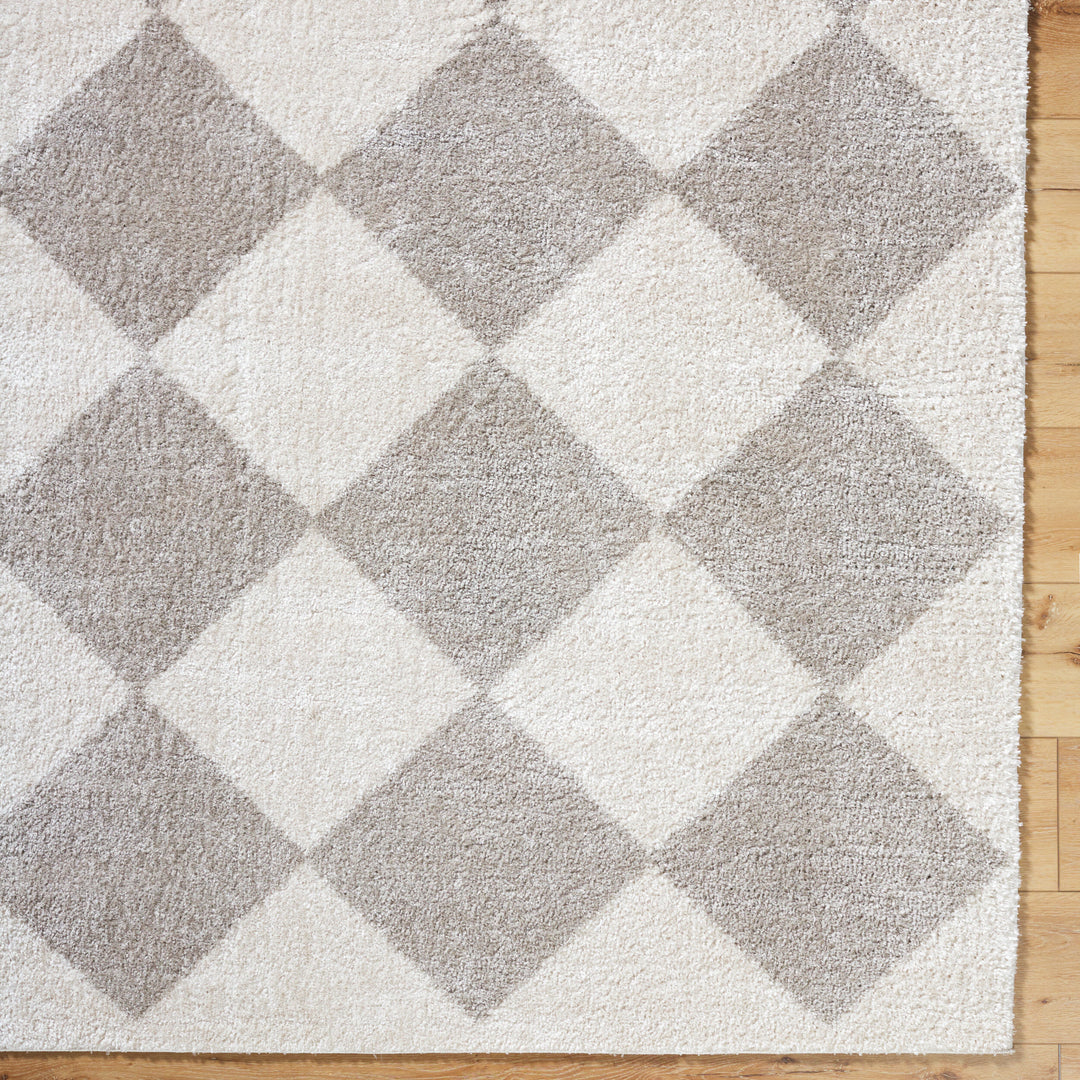Francis Shag Washable Rug