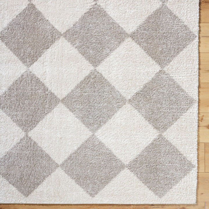 Francis Shag Washable Rug