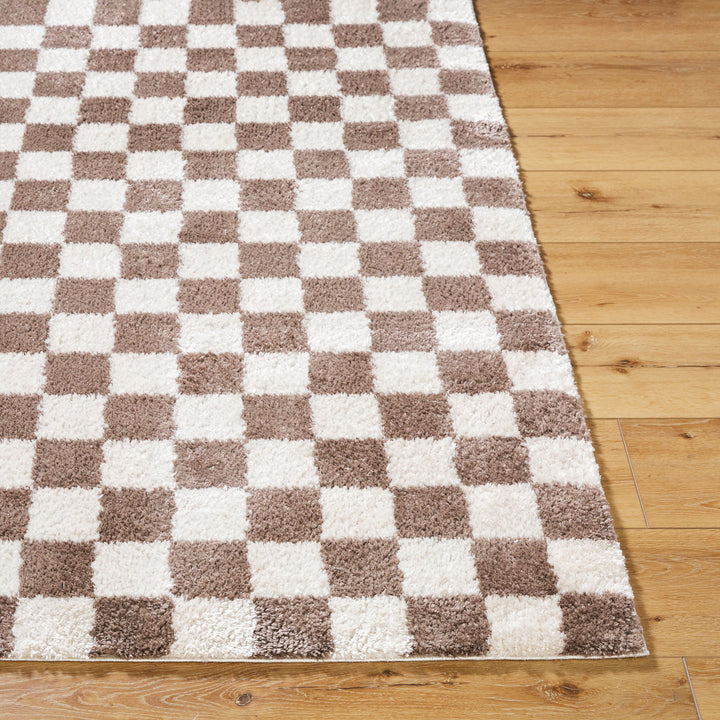 Fenix Shag Checker Washable Rug