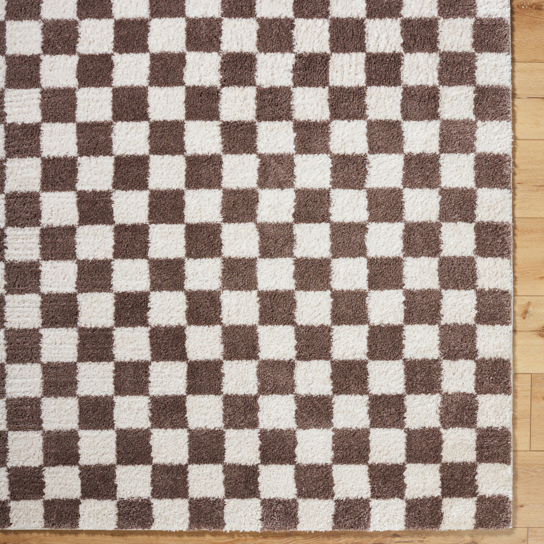 Fenix Shag Checker Washable Rug