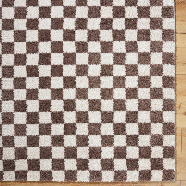Fenix Shag Checker Washable Rug