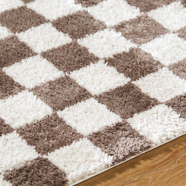 Fenix Shag Checker Washable Rug