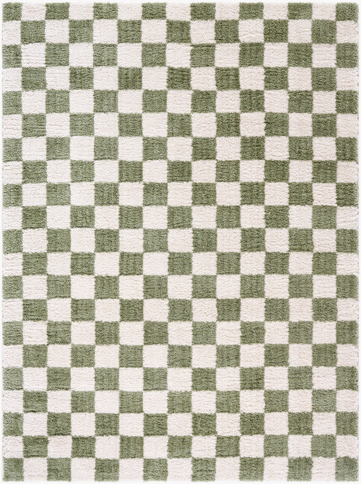 Fenix Shag Checker Washable Rug