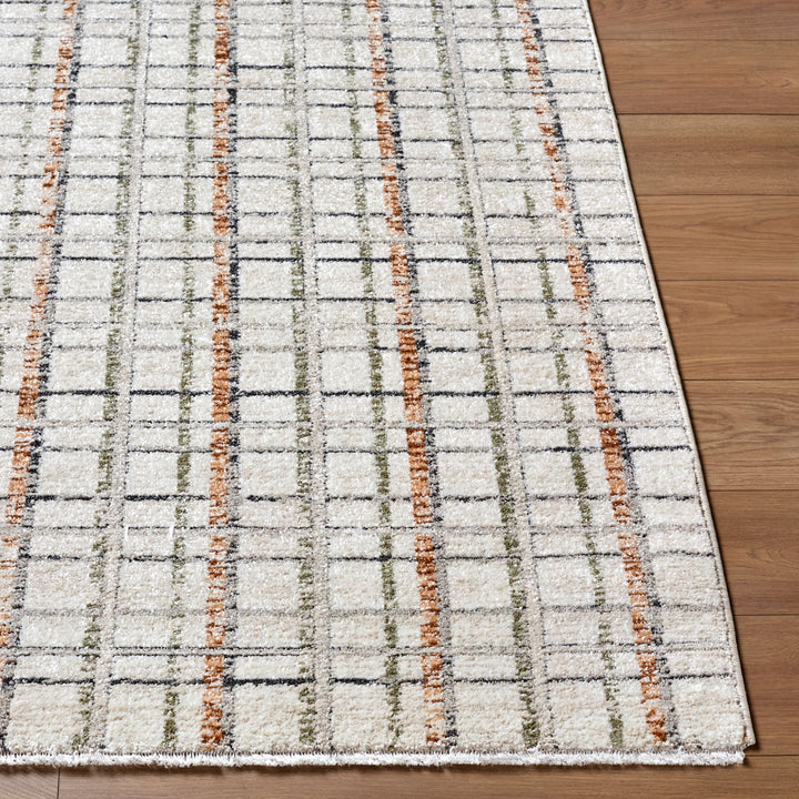 Lausanne Machine Woven Rug | LNN-2304